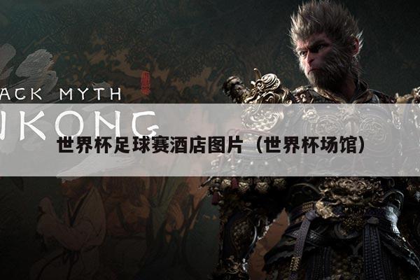 世界杯足球赛酒店图片（世界杯场馆）