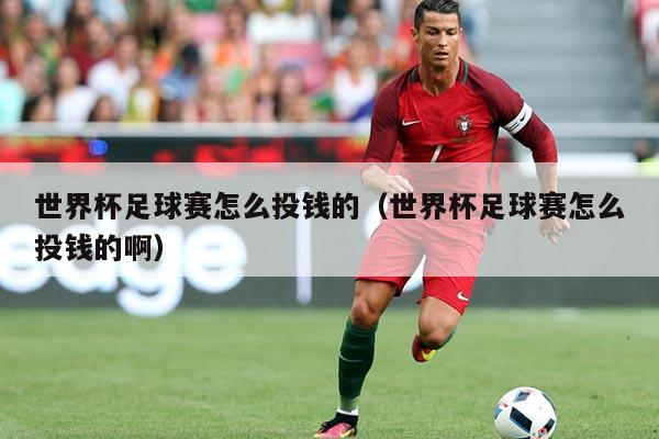 世界杯足球赛怎么投钱的（世界杯足球赛怎么投钱的啊）