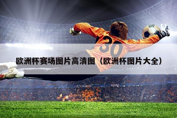 欧洲杯赛场图片高清图（欧洲杯图片大全）