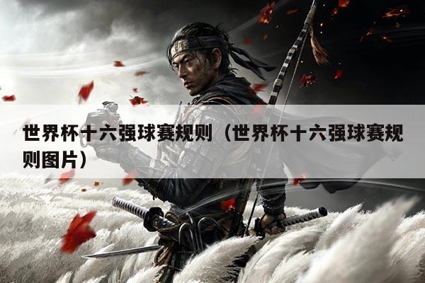 世界杯十六强球赛规则（世界杯十六强球赛规则图片）