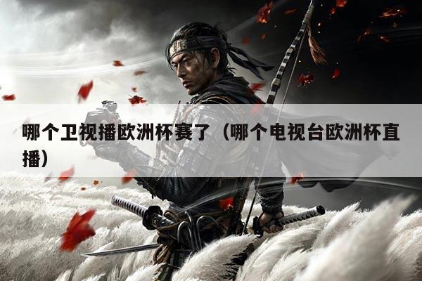 哪个卫视播欧洲杯赛了（哪个电视台欧洲杯直播）