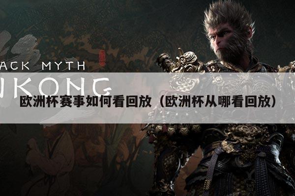 欧洲杯赛事如何看回放（欧洲杯从哪看回放）