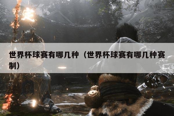 世界杯球赛有哪几种（世界杯球赛有哪几种赛制）