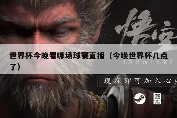 世界杯今晚看哪场球赛直播（今晚世界杯几点了）