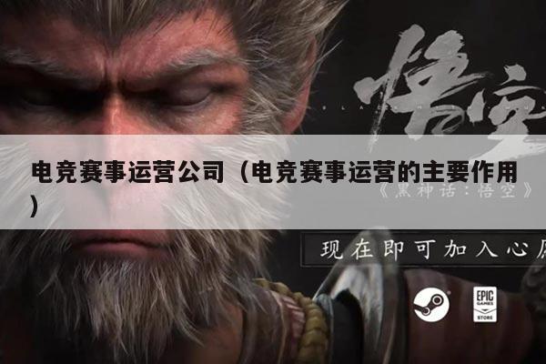 电竞赛事运营公司（电竞赛事运营的主要作用）