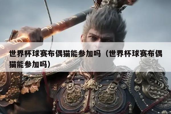 世界杯球赛布偶猫能参加吗（世界杯球赛布偶猫能参加吗）