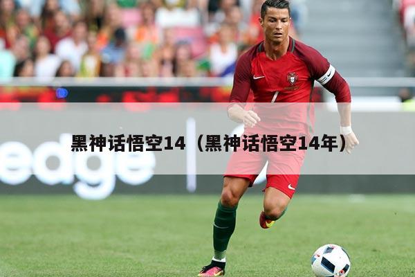 黑神话悟空14（黑神话悟空14年）