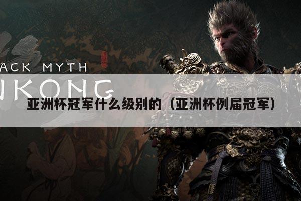 亚洲杯冠军什么级别的(亚洲杯例届冠军)