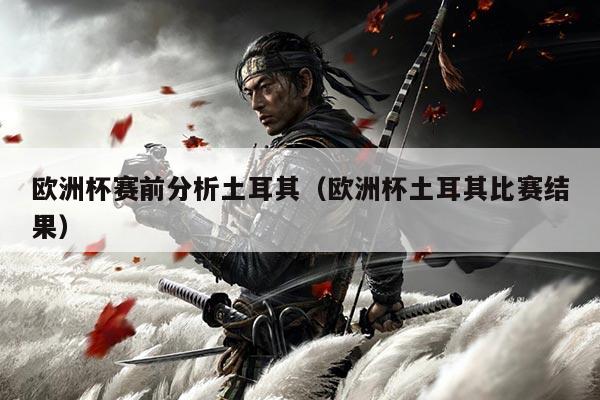 欧洲杯赛前分析土耳其(欧洲杯土耳其比赛结果)
