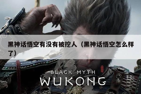 黑神话悟空有没有被挖人（黑神话悟空怎么样了）