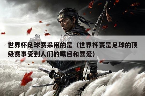 世界杯足球赛采用的是(世界杯赛是足球的顶级赛事受到人们的瞩目和喜爱)