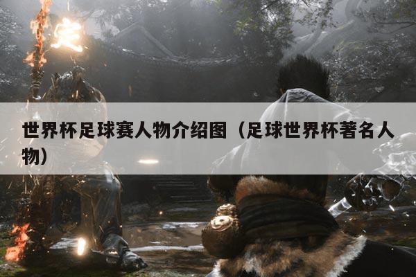 世界杯足球赛人物介绍图(足球世界杯著名人物)
