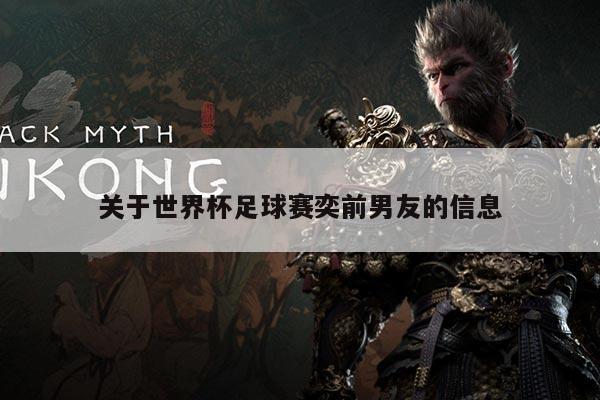 关于世界杯足球赛奕前男友的信息