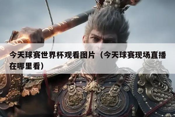 今天球赛世界杯观看图片(今天球赛现场直播在哪里看)