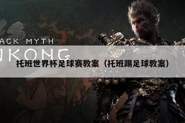 托班世界杯足球赛教案(托班踢足球教案)