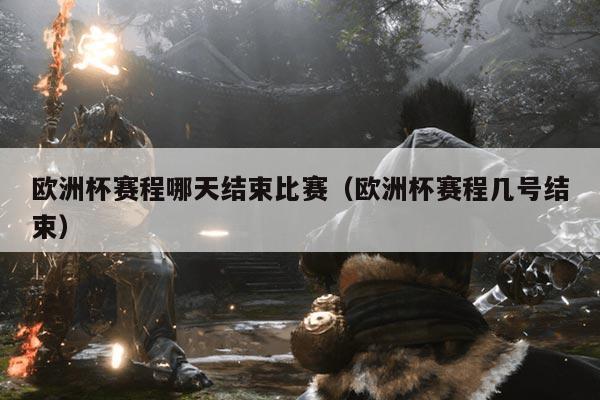 欧洲杯赛程哪天结束比赛(欧洲杯赛程几号结束)