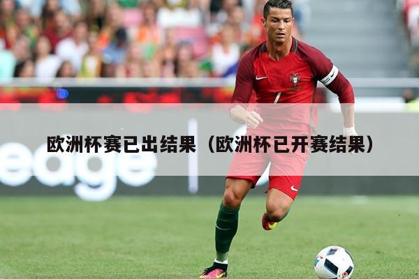 欧洲杯赛已出结果(欧洲杯已开赛结果)