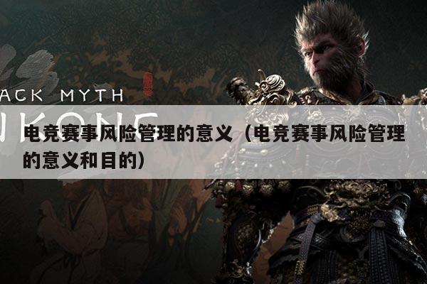 电竞赛事风险管理的意义(电竞赛事风险管理的意义和目的)
