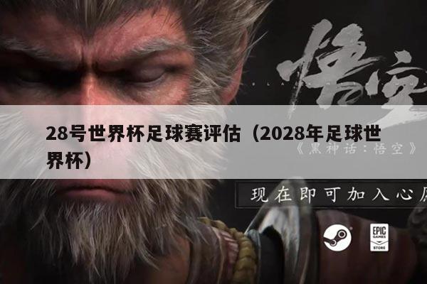 28号世界杯足球赛评估(2028年足球世界杯)