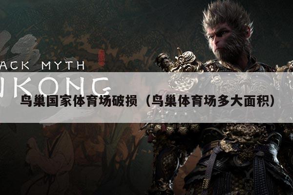 鸟巢国家体育场破损(鸟巢体育场多大面积)