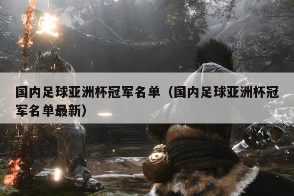 国内足球亚洲杯冠军名单（国内足球亚洲杯冠军名单最新）