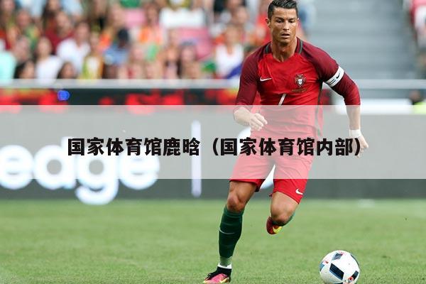 国家体育馆鹿晗(国家体育馆内部)