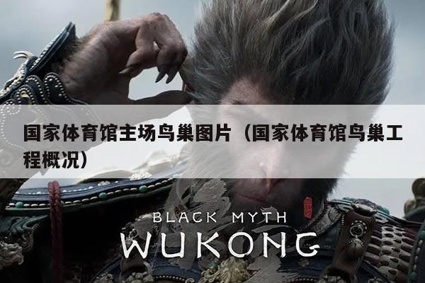 国家体育馆主场鸟巢图片(国家体育馆鸟巢工程概况)