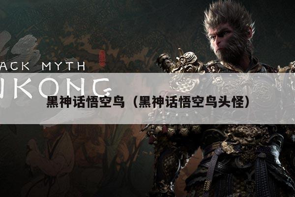 黑神话悟空鸟(黑神话悟空鸟头怪)