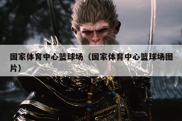 国家体育中心篮球场（国家体育中心篮球场图片）