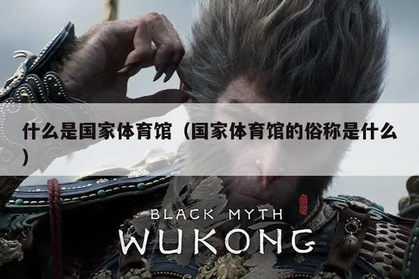 什么是国家体育馆（国家体育馆的俗称是什么）