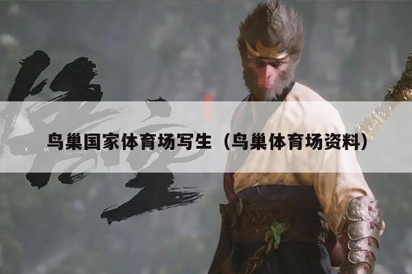 鸟巢国家体育场写生(鸟巢体育场资料)