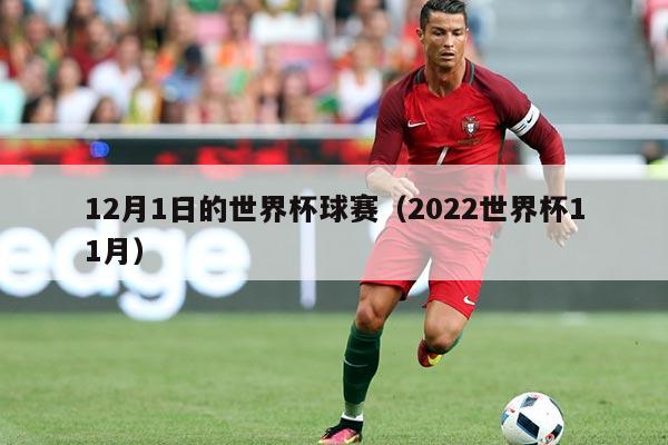 12月1日的世界杯球赛(2022世界杯11月)