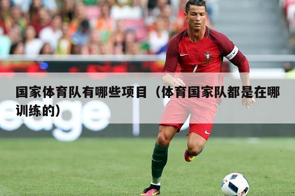 国家体育队有哪些项目(体育国家队都是在哪训练的)