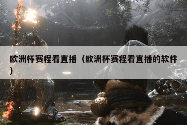 欧洲杯赛程看直播（欧洲杯赛程看直播的软件）