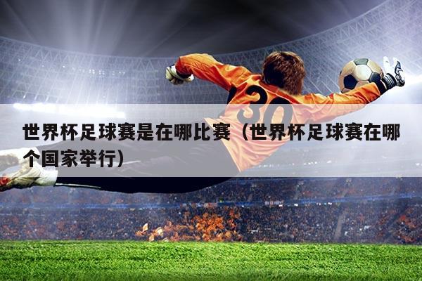 世界杯足球赛是在哪比赛(世界杯足球赛在哪个国家举行)