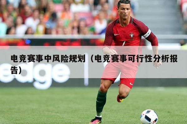 电竞赛事中风险规划(电竞赛事可行性分析报告)