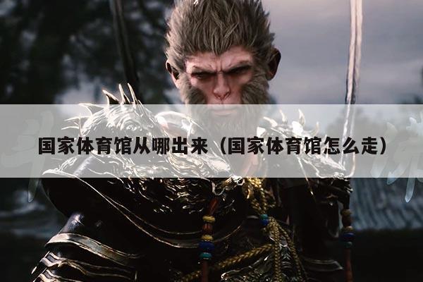 国家体育馆从哪出来（国家体育馆怎么走）