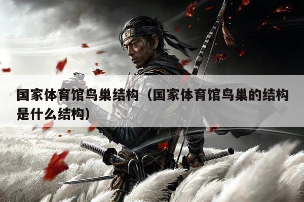 国家体育馆鸟巢结构（国家体育馆鸟巢的结构是什么结构）