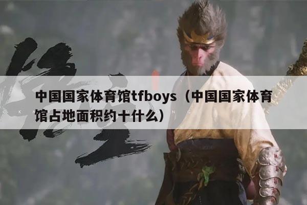 中国国家体育馆tfboys(中国国家体育馆占地面积约十什么)