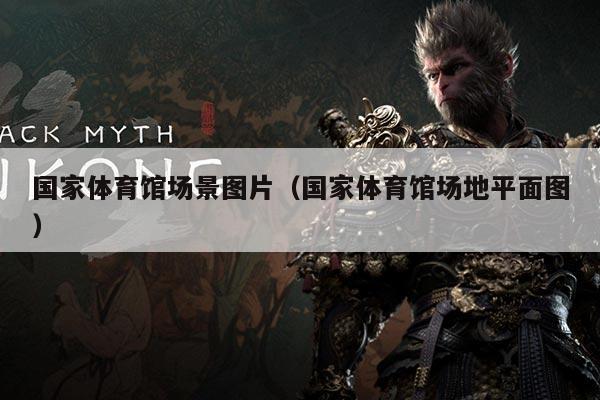 国家体育馆场景图片(国家体育馆场地平面图)