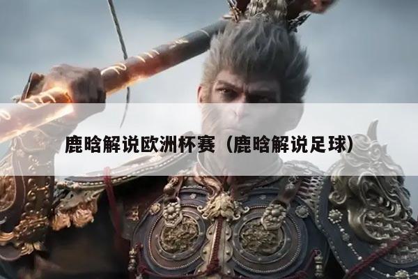 鹿晗解说欧洲杯赛(鹿晗解说足球)