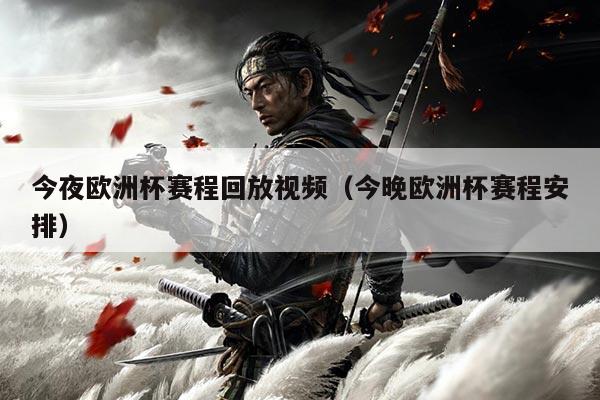 今夜欧洲杯赛程回放视频（今晚欧洲杯赛程安排）