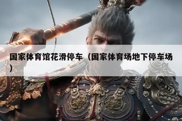 国家体育馆花滑停车(国家体育场地下停车场)
