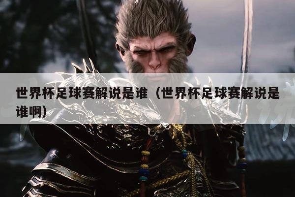 世界杯足球赛解说是谁(世界杯足球赛解说是谁啊)
