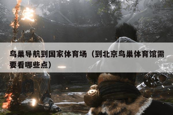 鸟巢导航到国家体育场（到北京鸟巢体育馆需要看哪些点）