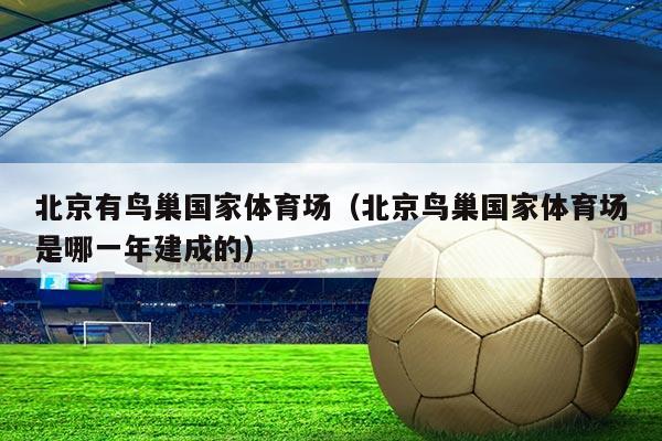 北京有鸟巢国家体育场（北京鸟巢国家体育场是哪一年建成的）