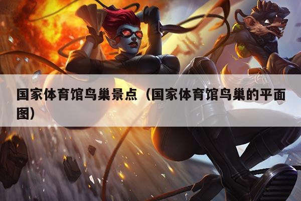 国家体育馆鸟巢景点（国家体育馆鸟巢的平面图）