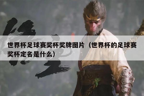 世界杯足球赛奖杯奖牌图片（世界杯的足球赛奖杯定名是什么）