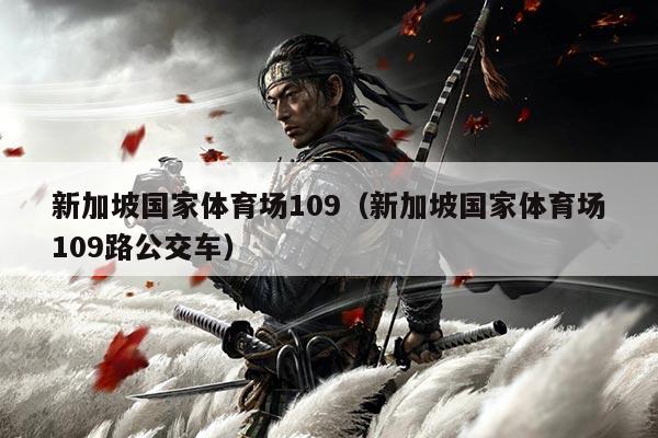 新加坡国家体育场109(新加坡国家体育场109路公交车)