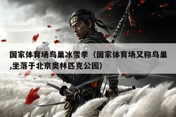 国家体育场鸟巢冰雪季（国家体育场又称鸟巢,坐落于北京奥林匹克公园）